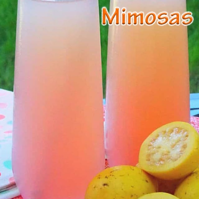 Guava Mimosa.